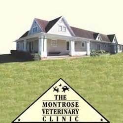 montrose vet clinic houston texas|montrose veterinary clinic houston.